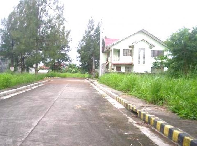 158 sqm Corner Lot at East Gate Country Village Taytay,Rizal