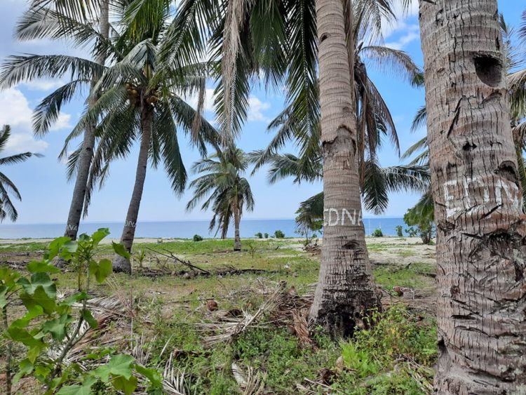 5hectares LOt-BEACH FRONT