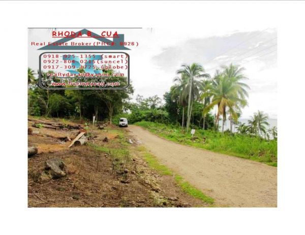 Beachview Sanal lots for only P2,500/sqm