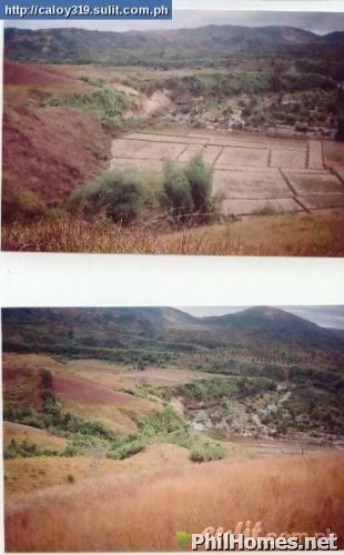 80 hectares farm land - Rush Sale!!!