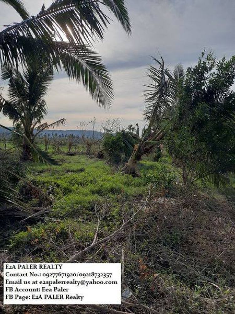 Agri Lot for Sale