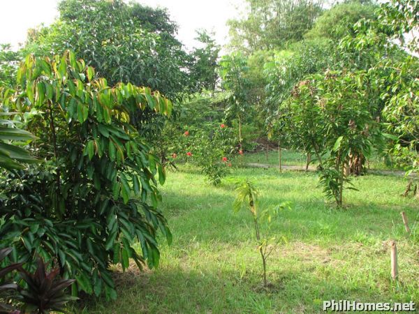 Beautiful 144 Sqm Home,