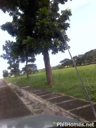 EXCLUSIVE FLOOD-FREE LOT @ MANILA SOUTHWOODS!